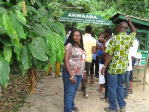 At the Kakum National Park in Ghana